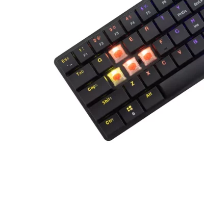 CLAVIER WHITE SHARK NAGAMAKI BLACK US - RED SWITCHES