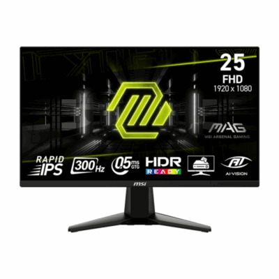 MSI MAG 255XF 24,5 IPS 0,5Ms 300HZ