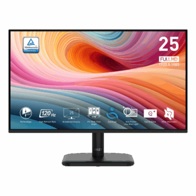 msi-pro-mp251l-25-e2-ips-fhd-120hz-1ms